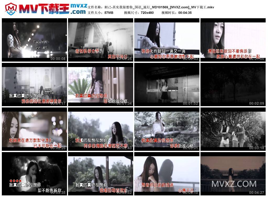 妲己-其实我很想你_国语_流行_MD101569